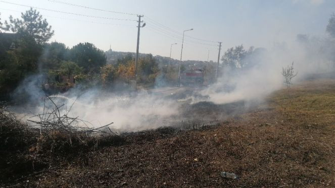 Zeytin ağa&ccedil;larının bulunduğu arazi alev alev yandı - Resim : 4