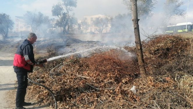 Zeytin ağa&ccedil;larının bulunduğu arazi alev alev yandı - Resim : 5