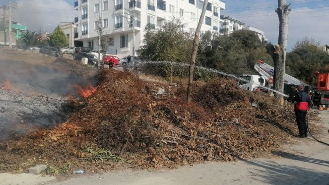 Zeytin ağa&ccedil;larının bulunduğu arazi alev alev yandı - Resim : 6