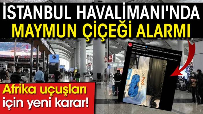 İstanbul Havalimanı'nda maymun &ccedil;i&ccedil;eği alarmı: Afrika u&ccedil;uşları i&ccedil;in yeni karar!