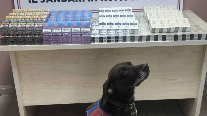 Tırdan 560 paket ka&ccedil;ak sigara &ccedil;ıktı