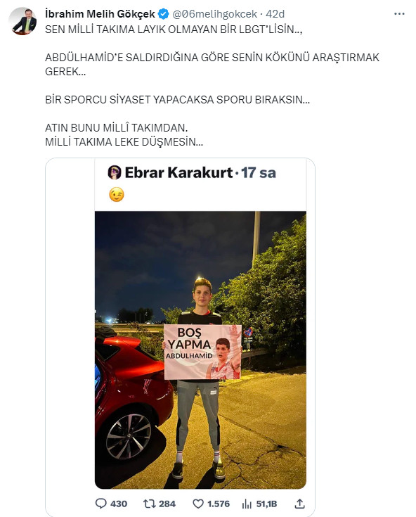 melihgokcek1.jpg
