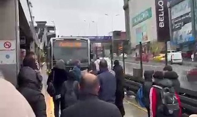 metrobus1.jpg