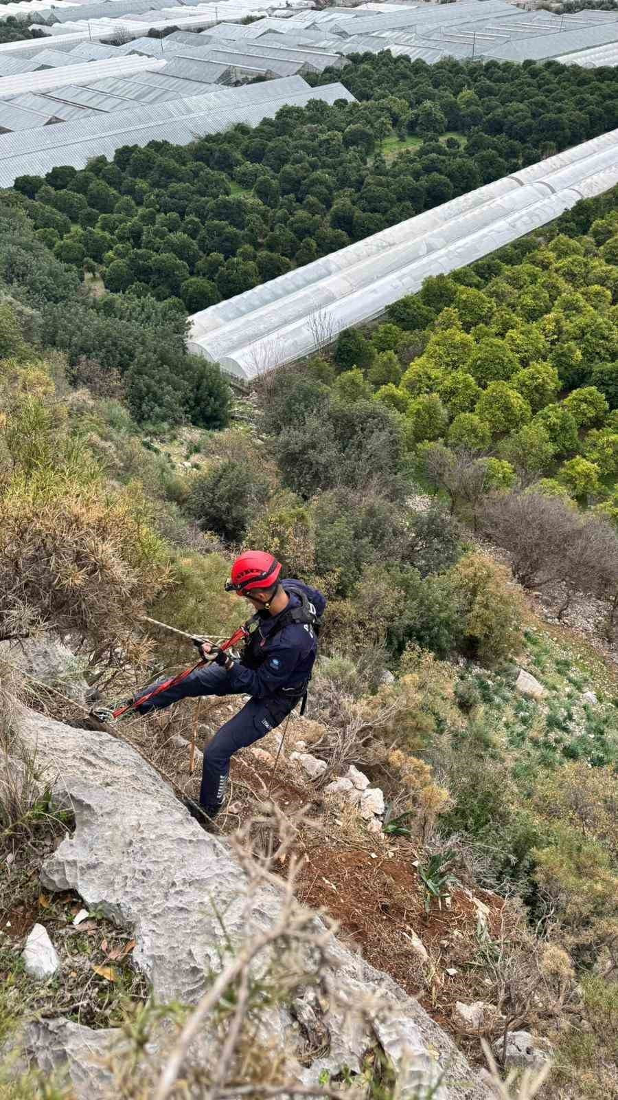 Sarp kayalıklarda 3 g&uuml;nd&uuml;r mahsur kaldı! Ekipler kurtarmak i&ccedil;in seferber oldu