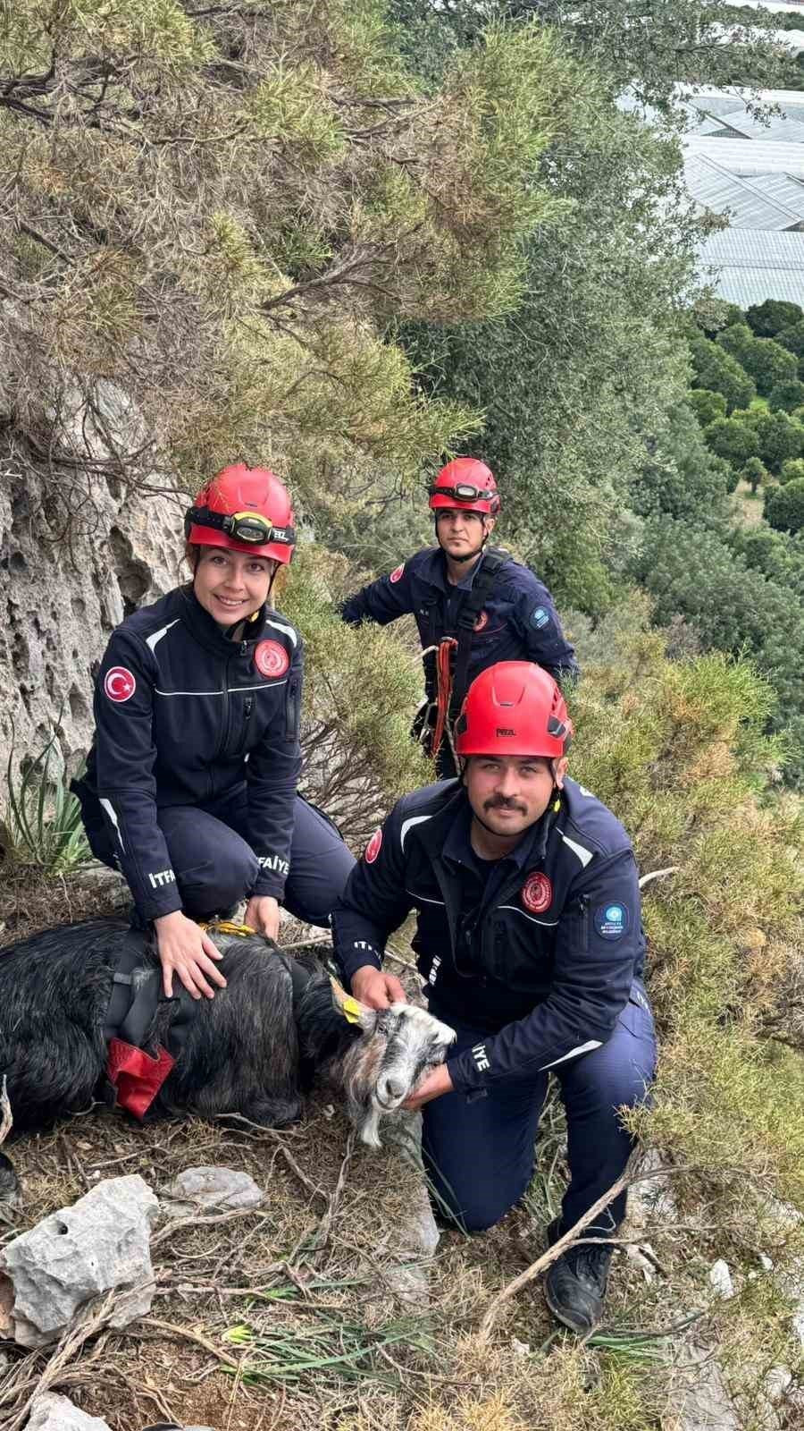 Sarp kayalıklarda 3 g&uuml;nd&uuml;r mahsur kaldı! Ekipler kurtarmak i&ccedil;in seferber oldu