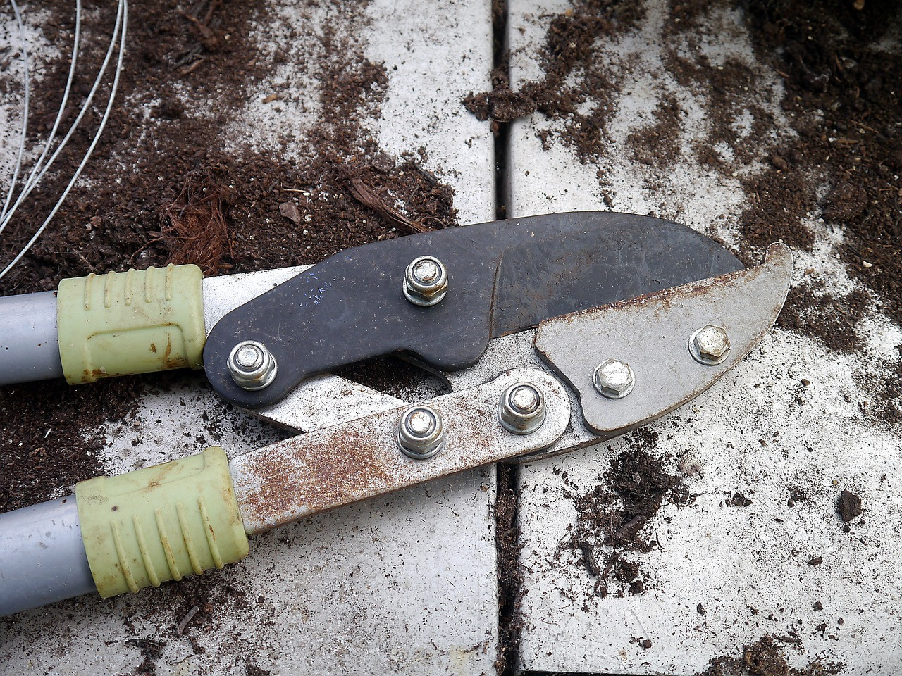 secateurs-498632-1280.jpg