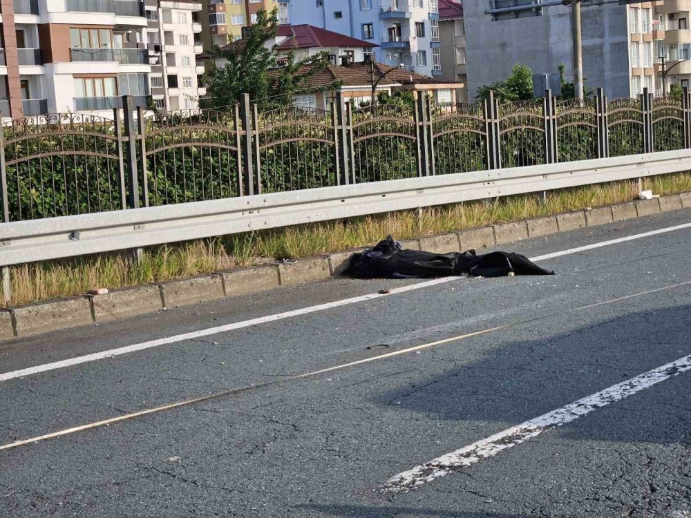 Araca giren arı 2 kişinin ölümüne neden oldu