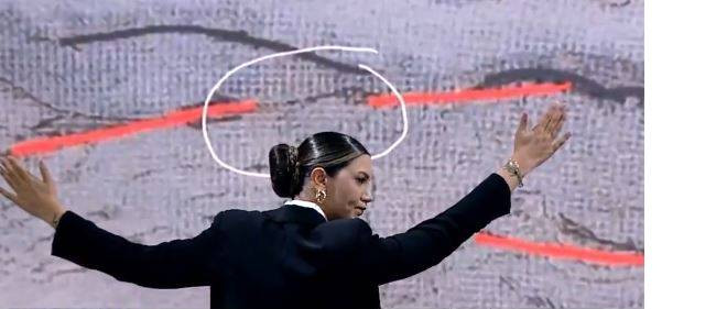 ozturkfulya.jpg