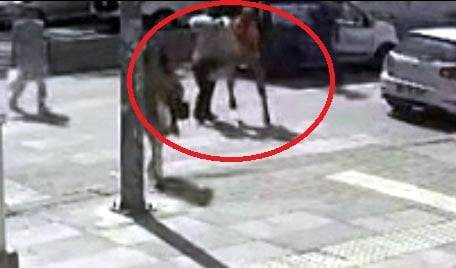 Burası Ankara'nın göbeği! Sürücü yaya kadını döverek hastanelik etti