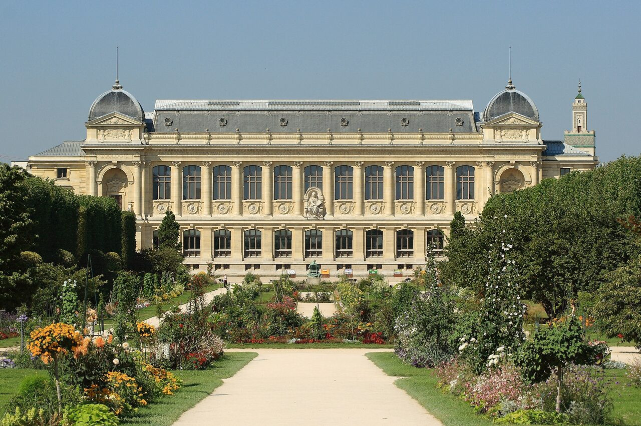 paris-75005-grande-galerie-de-levolution-20070804.jpg